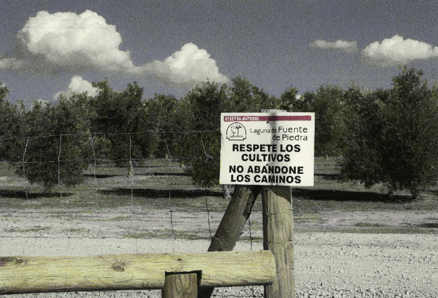 photo of a sign in Spanish on wooden fence