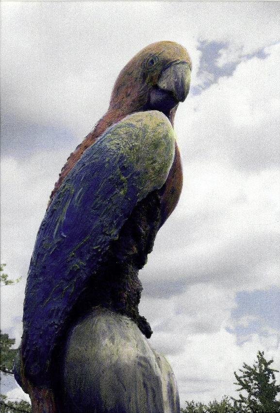 weathered parrot