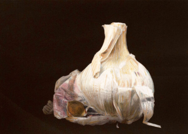 portrait of a garlic