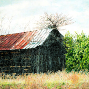 old barn with trees growing out of its roof