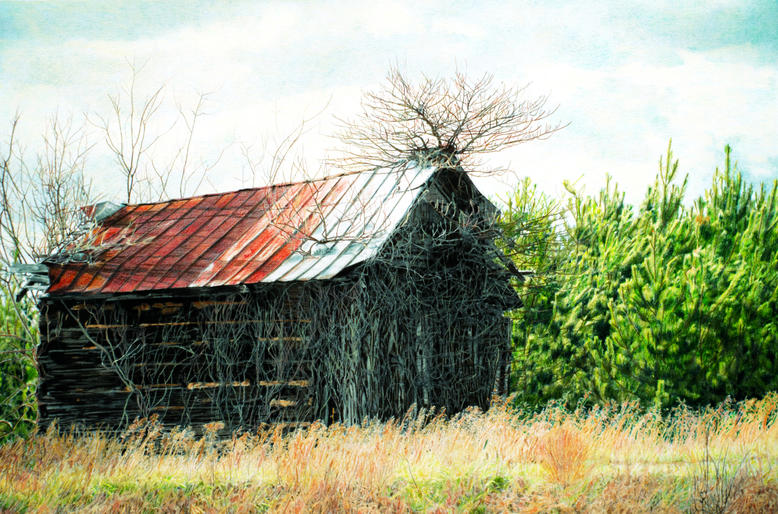 old barn with trees growing out of its roof