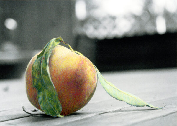 single peach at the Farmers' market