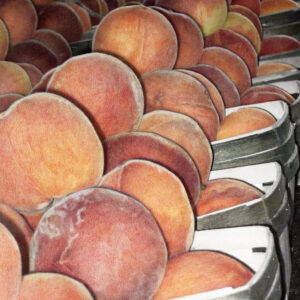 rows of peaches at the farmers' market
