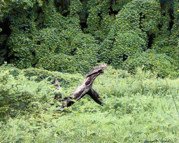 a tree creature running through a field