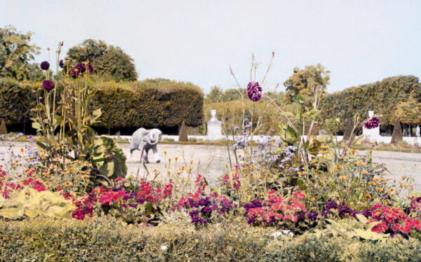 elephant statute in garden