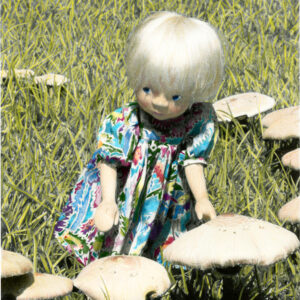 wooden doll in a fairy ring